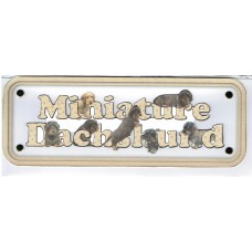 Dachshund Mini - wire hair